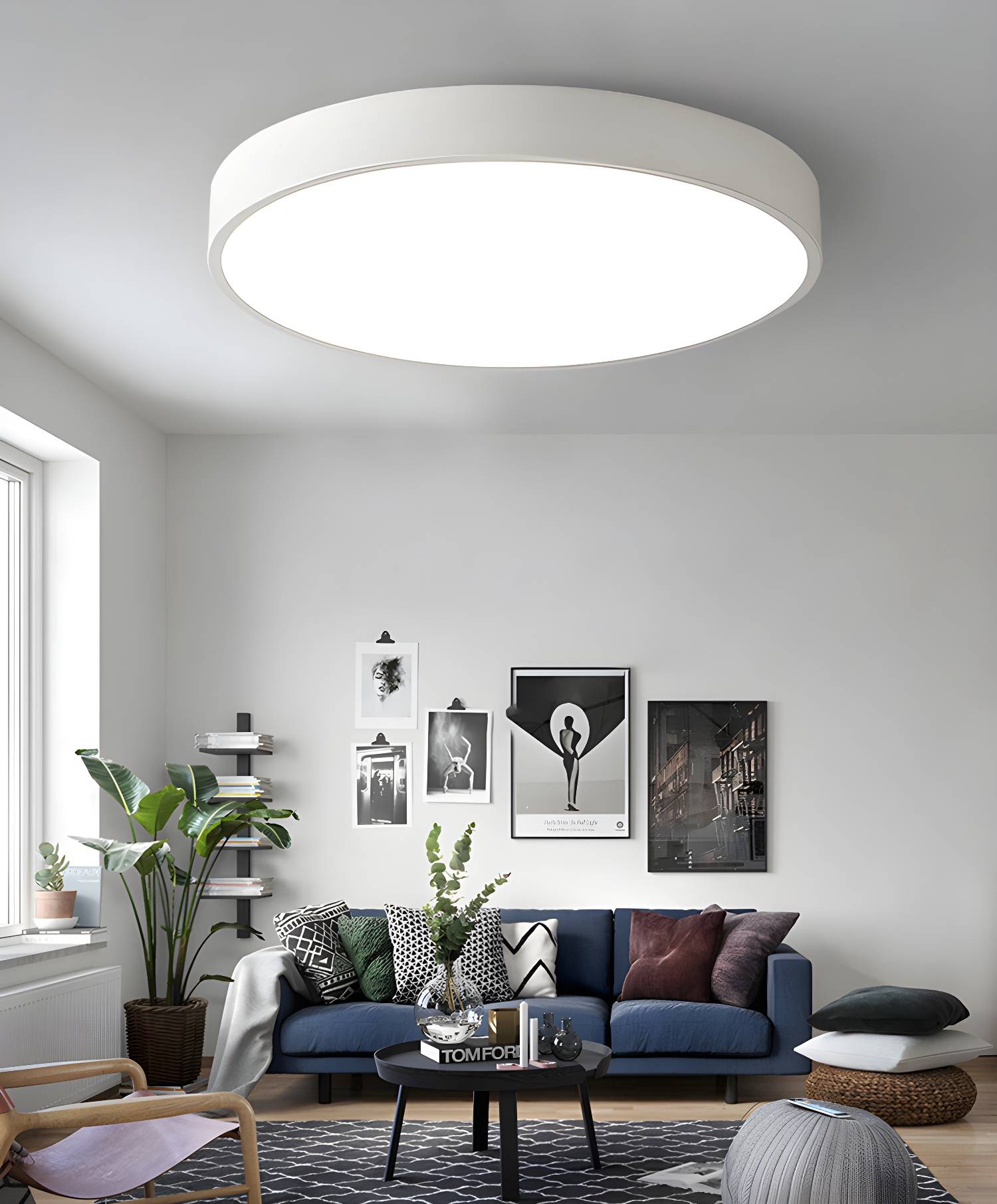 Imported image f77779e54ee6 3445072.jpg
