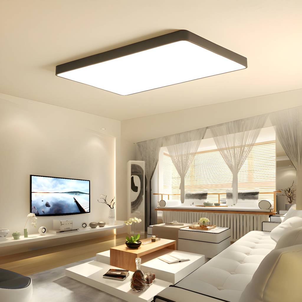Imported image f5deedc56c62 3445505.jpg