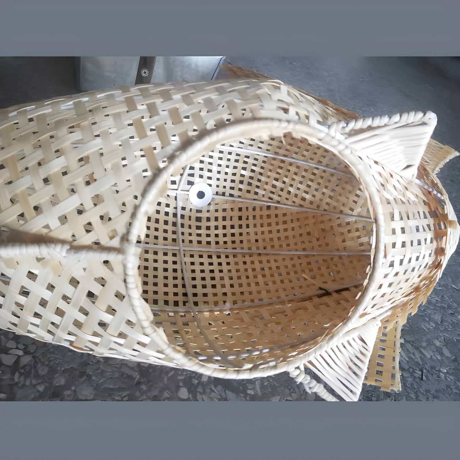 Imported image 494b138f331e 3446476.jpg