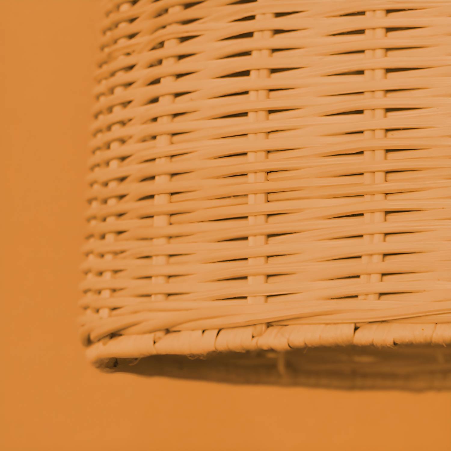 Imported image 6026232c2e8a 3446623.jpg