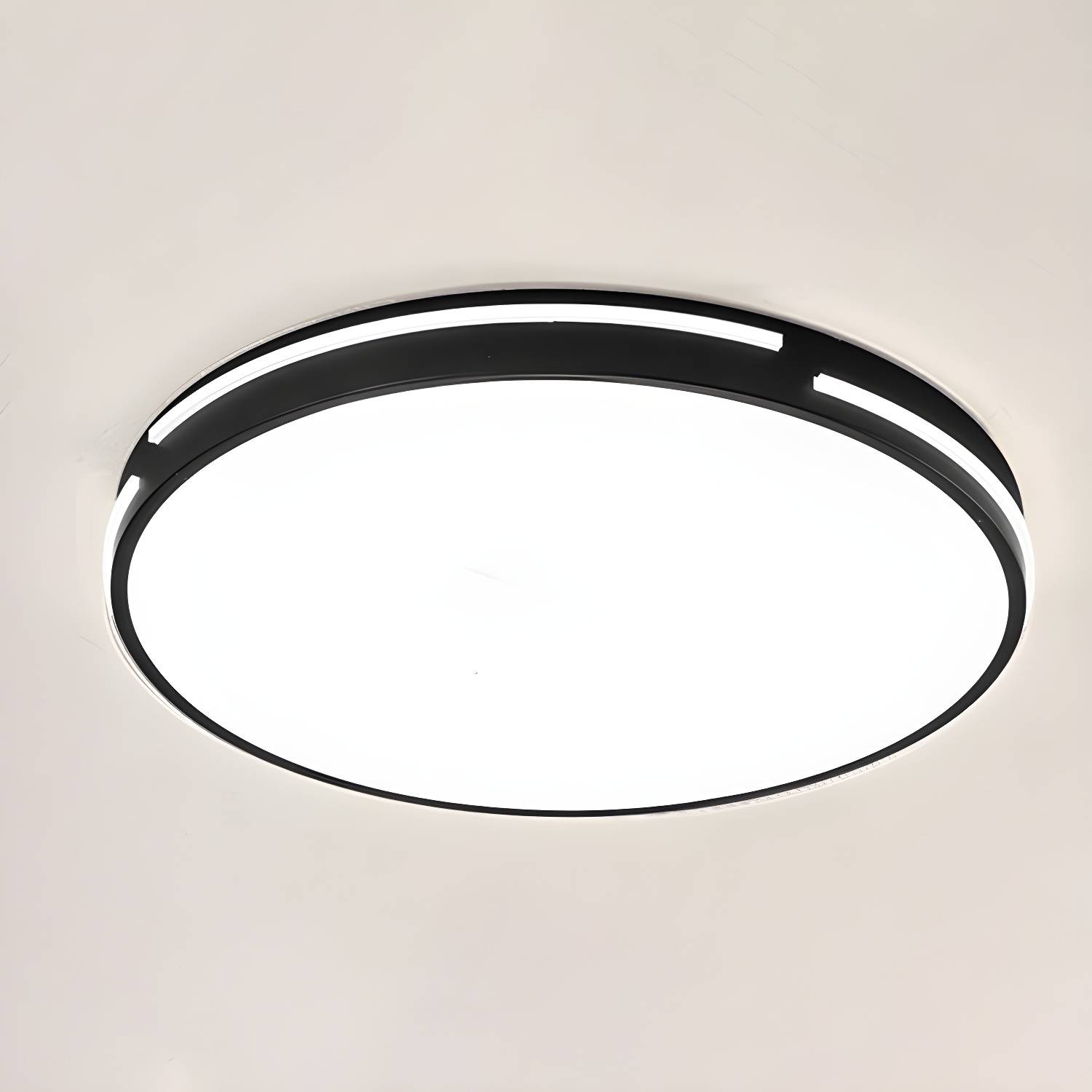 Imported image f7d8990febe0 3448036.jpg
