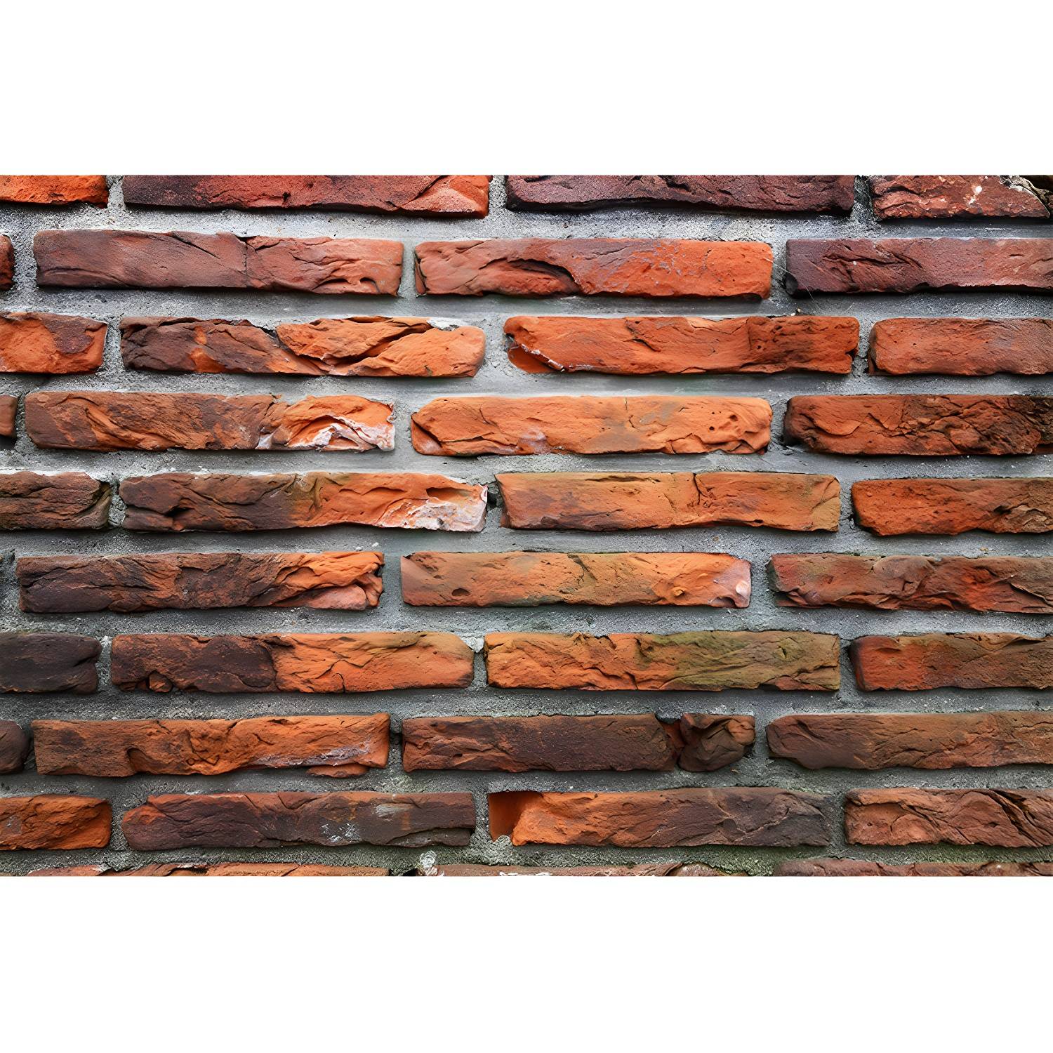 Imported image aa74f15fc457 3450038.jpg