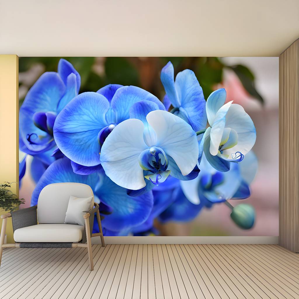 Imported image 44cd4fa563fc 3450079.jpg