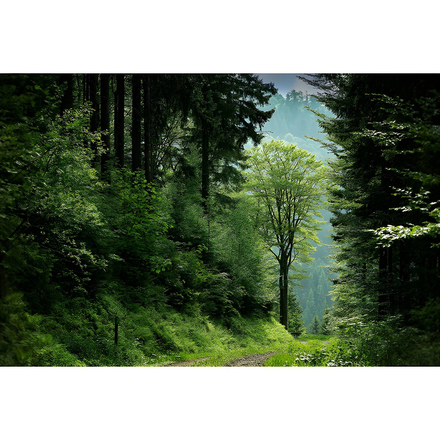 Imported image 98a320a75540 3450190.jpg