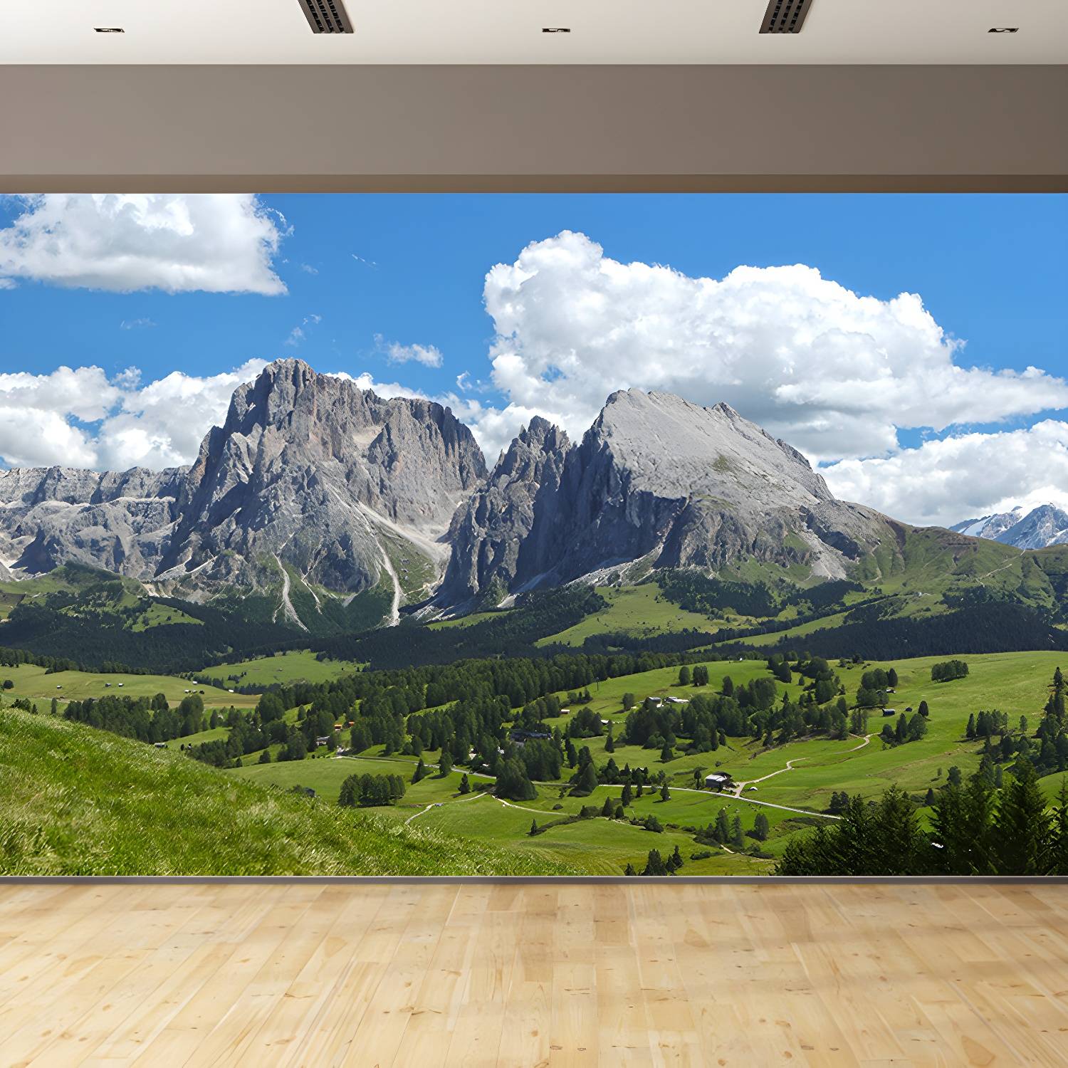 Imported image d2d83de5c302 3450445.jpg