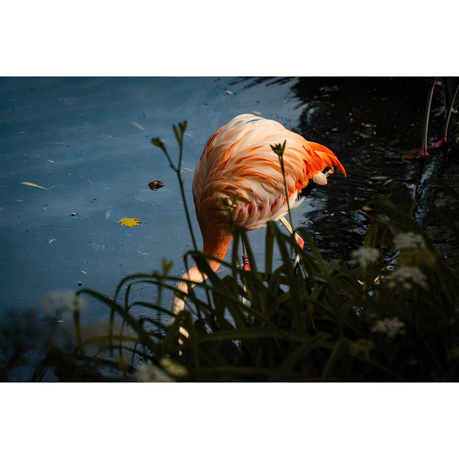 Imported image a04efb95a364 3450550.jpg