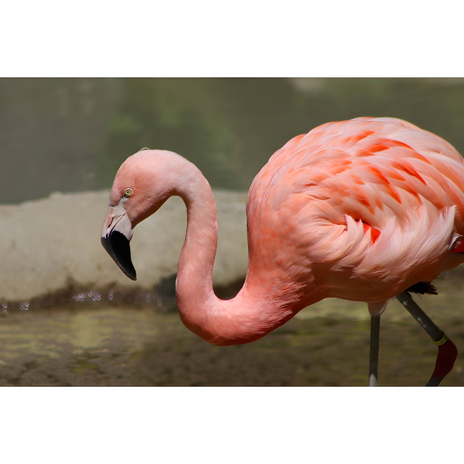 Imported image f32cfb99567b 3450564.jpg