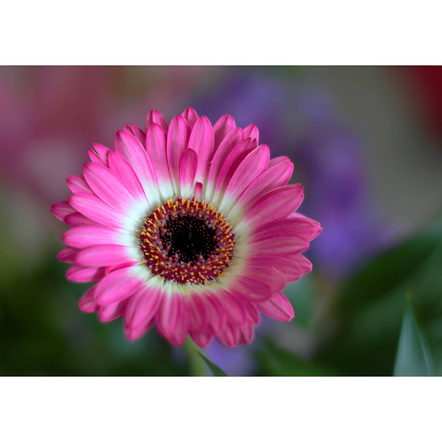 Imported image a0ec6491ba70 3450600.jpg