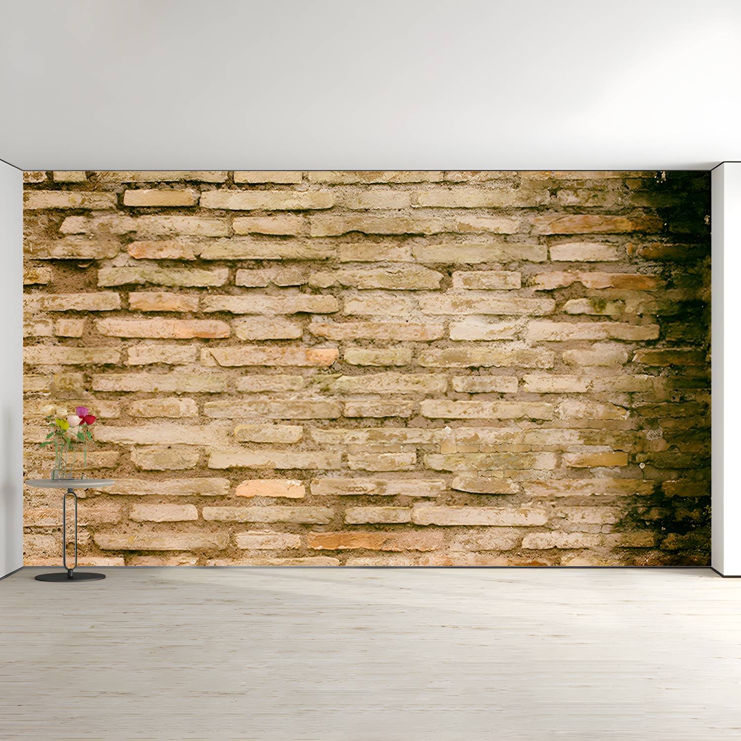 Imported image d78dbb4b7e44 3450690.jpg