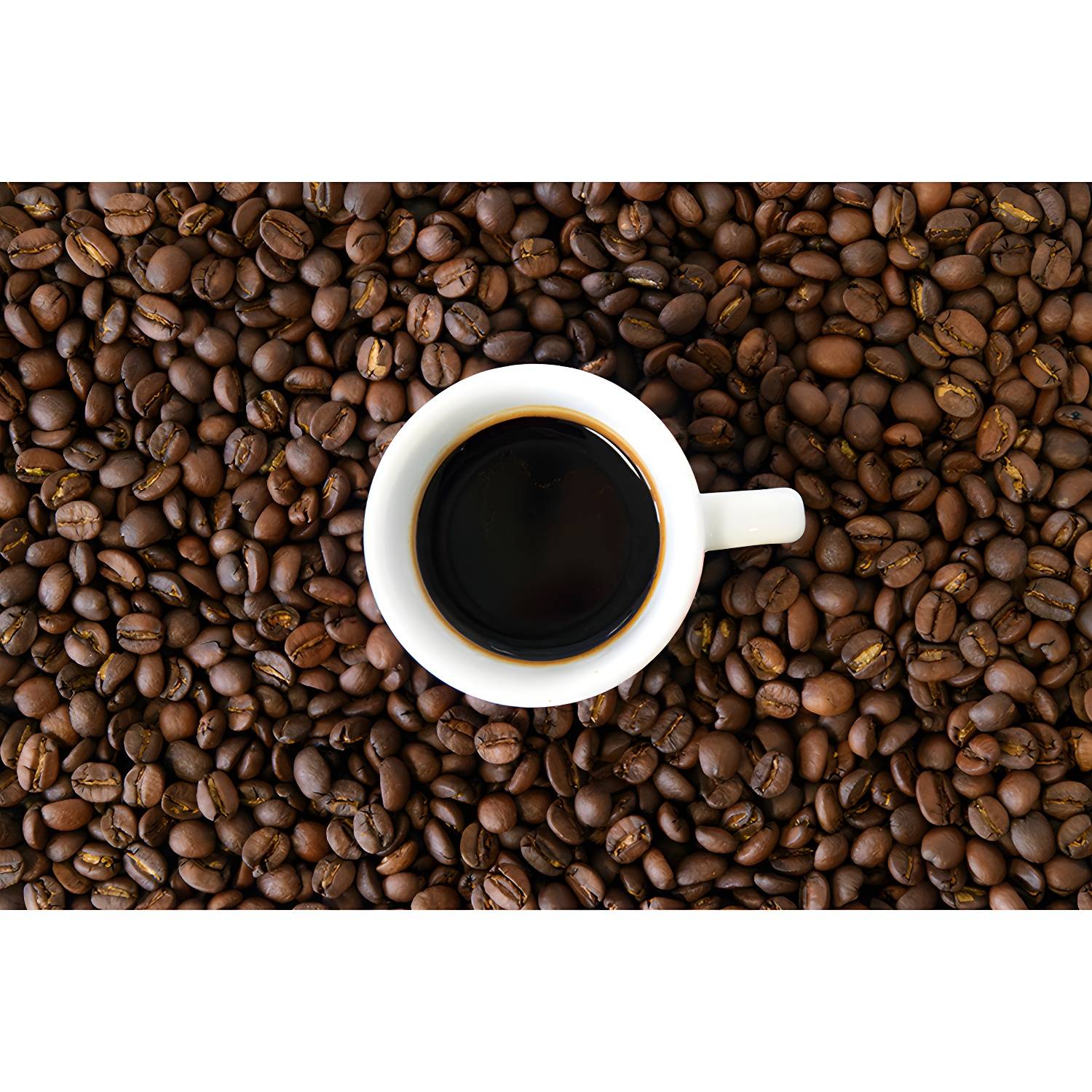 Imported image a68e3d16c240 3450828.jpg