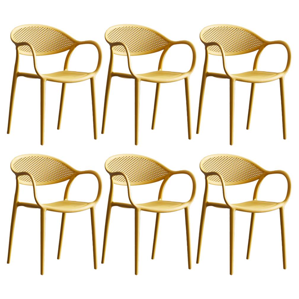 Imported image d5e79b47c690 3484606.jpg