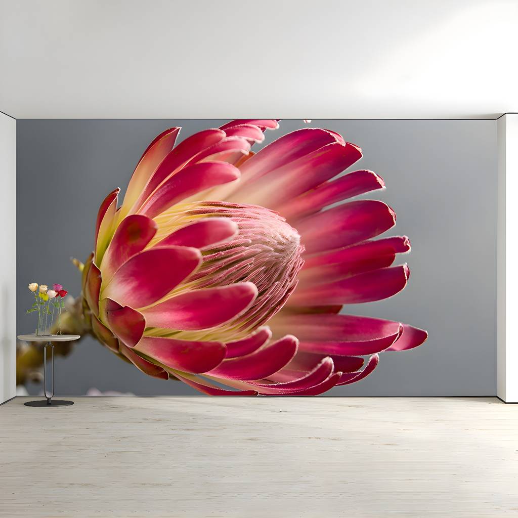 Imported image 5e1bc42cde9e 3494792.jpg