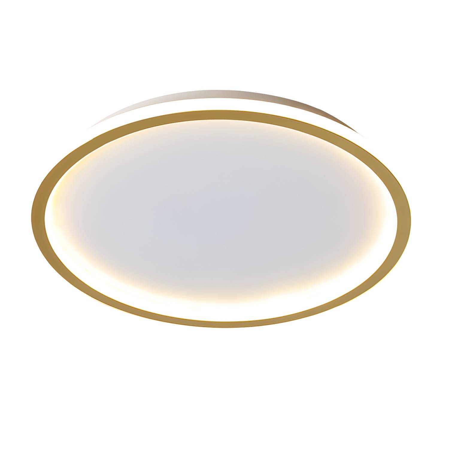 Imported image 45facf43bd1b 3532192.jpg