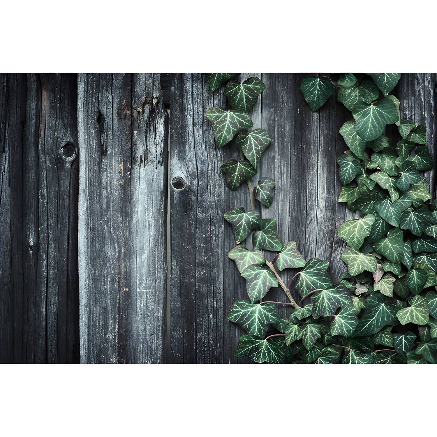 Imported image 97a01564ec69 3536620.jpg