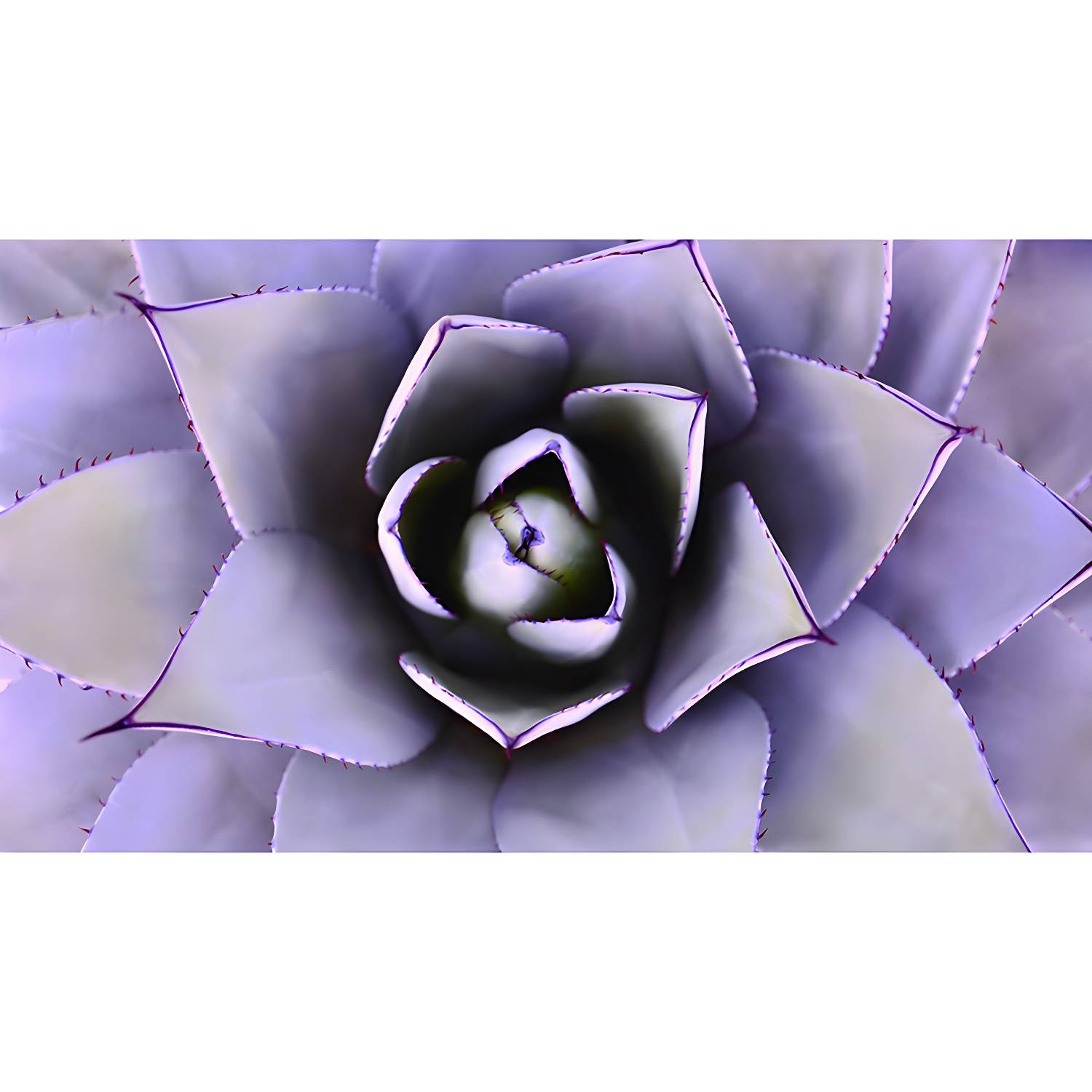 Imported image f5a74427b9f3 3536664.jpg