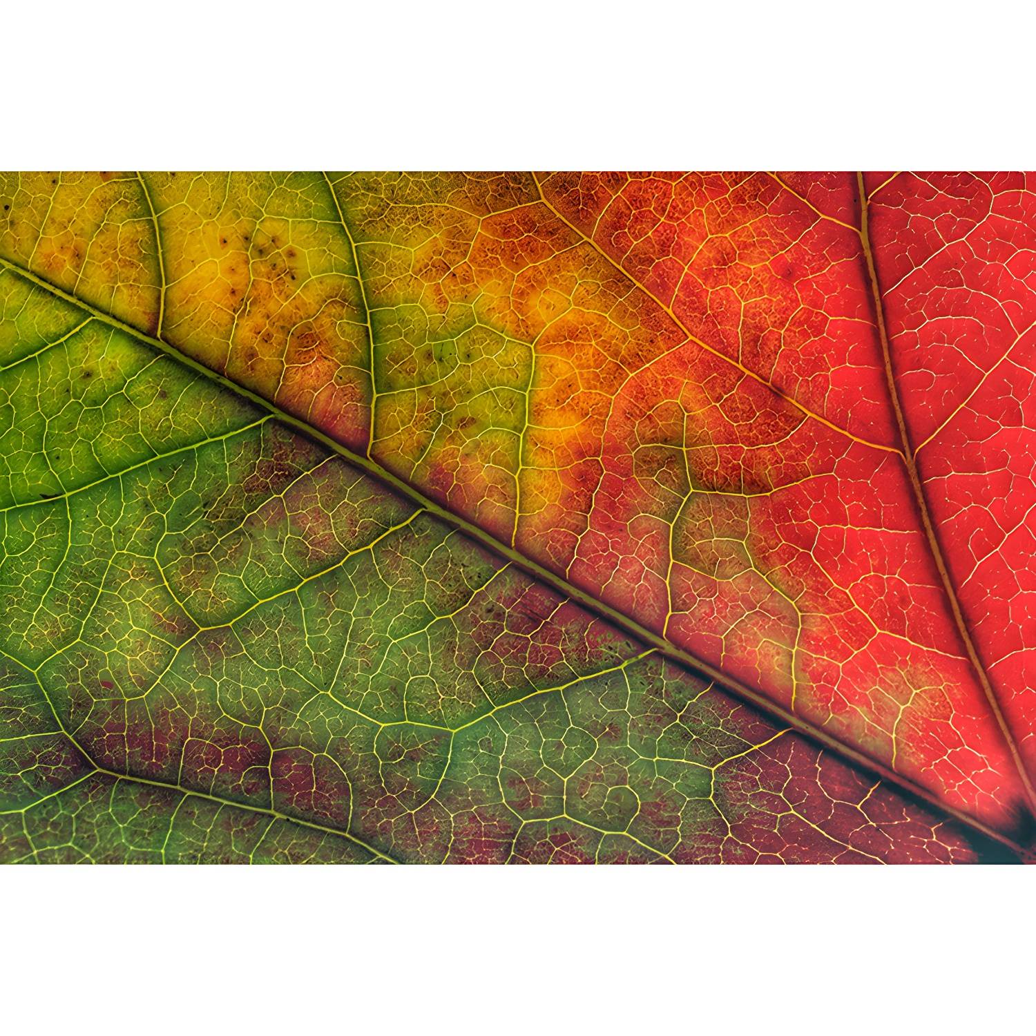 Imported image a4327dcef106 3536710.jpg