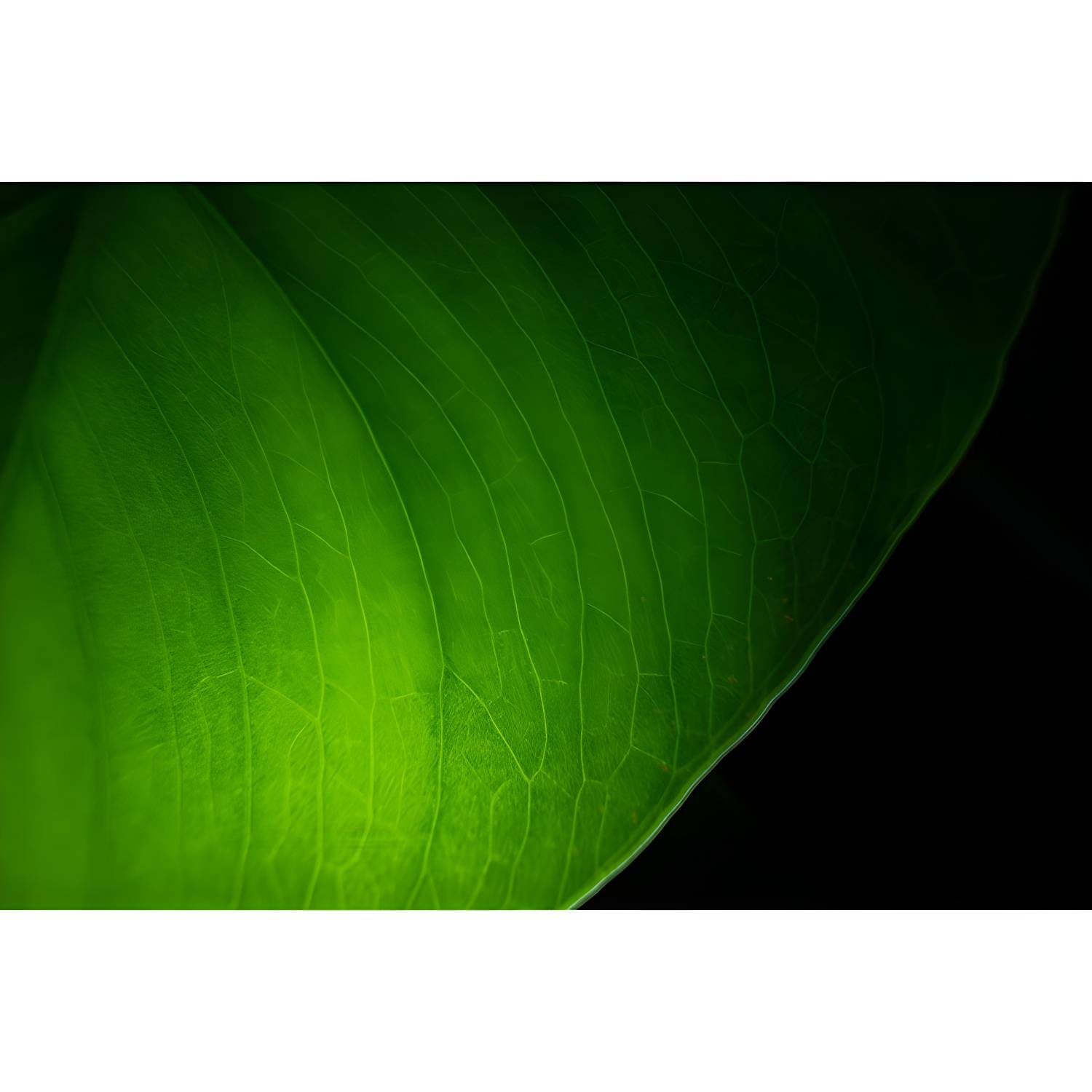 Imported image a7e6bdf78570 3536808.jpg