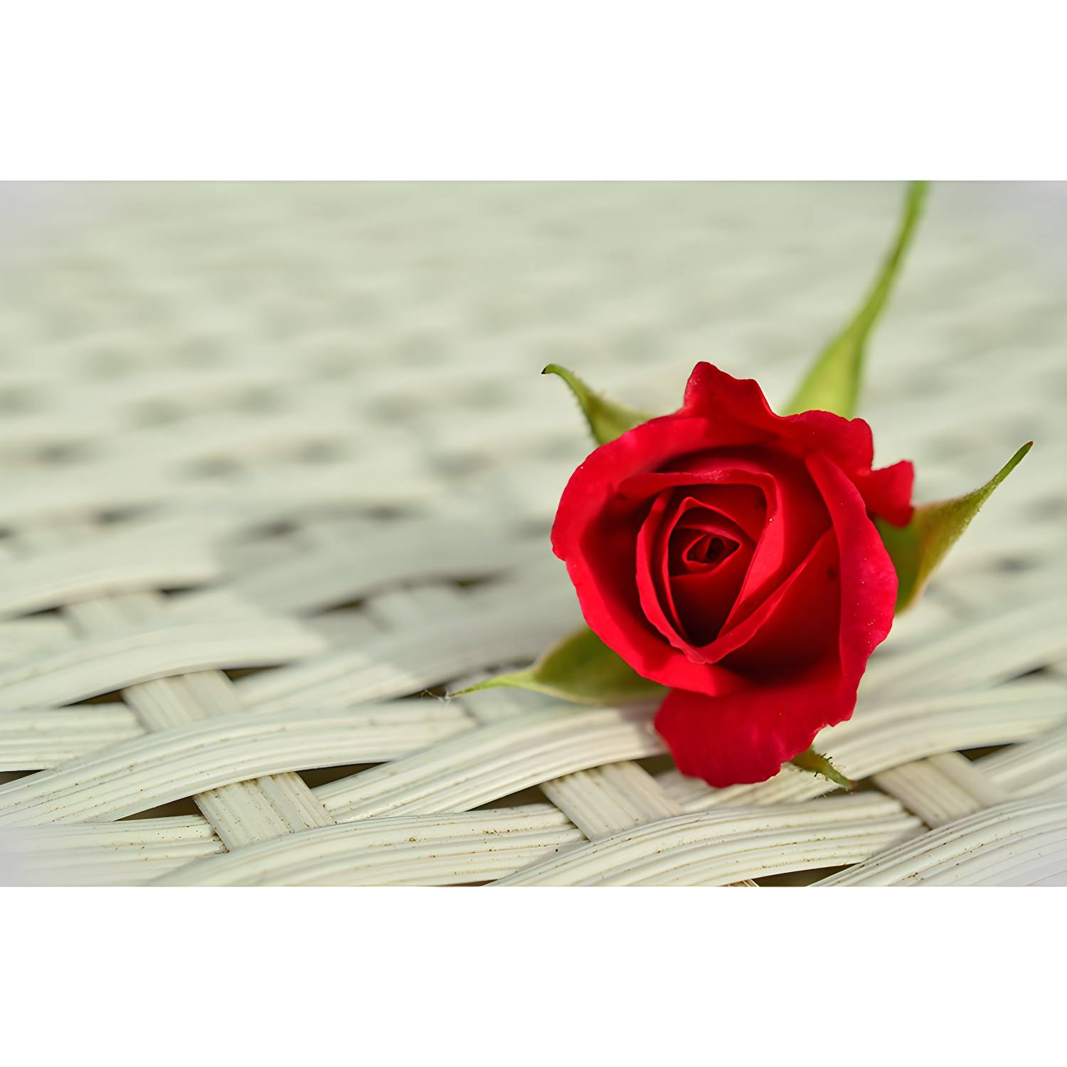 Imported image d21eeae28324 3539067.jpg