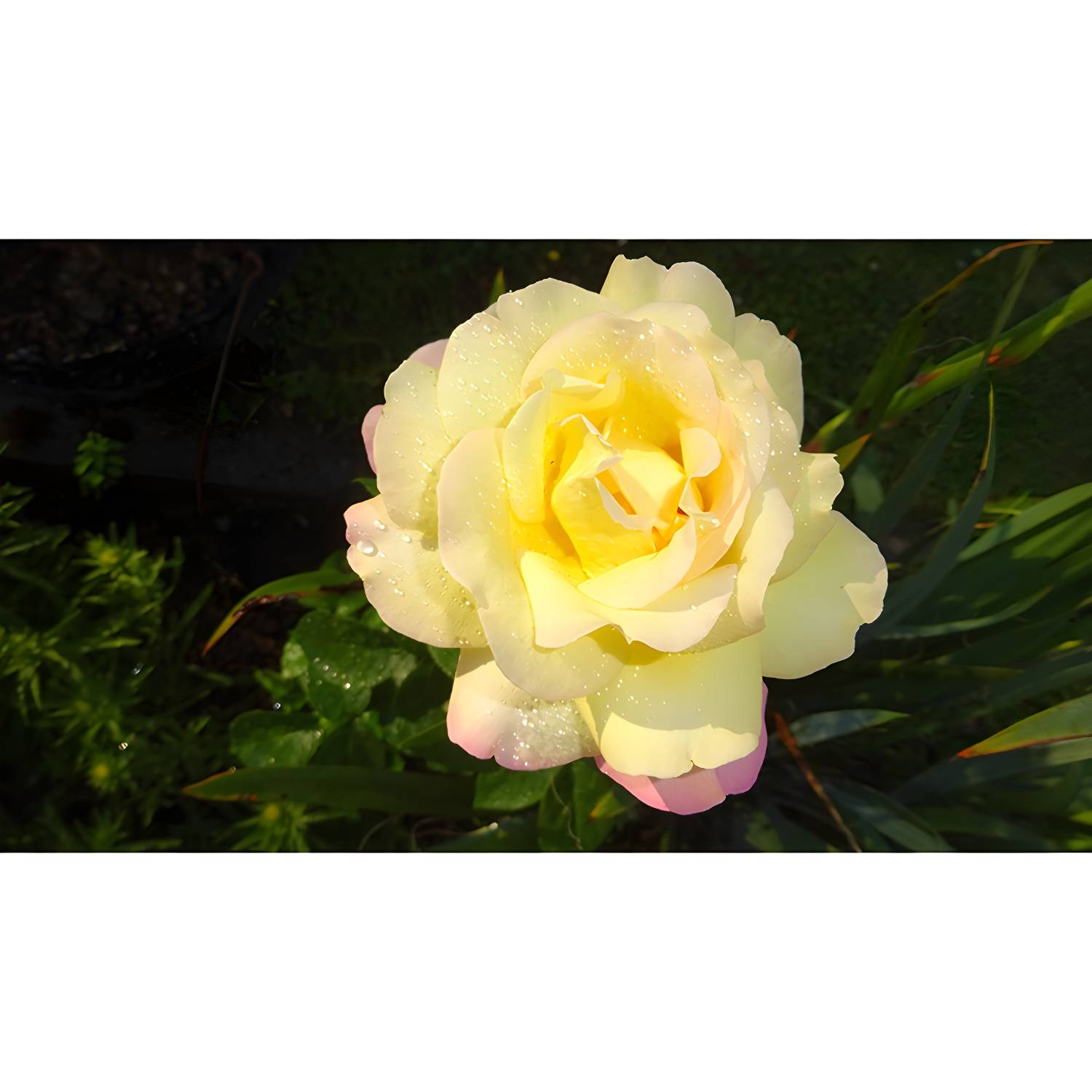 Imported image bbc2bef7c120 3539073.jpg