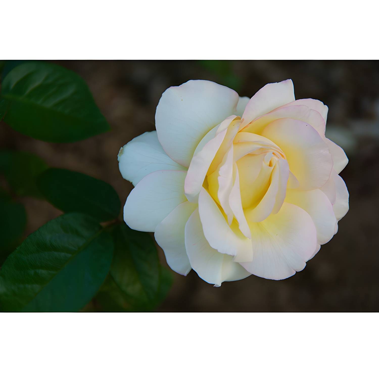 Imported image ae22cf2f5543 3539077.jpg