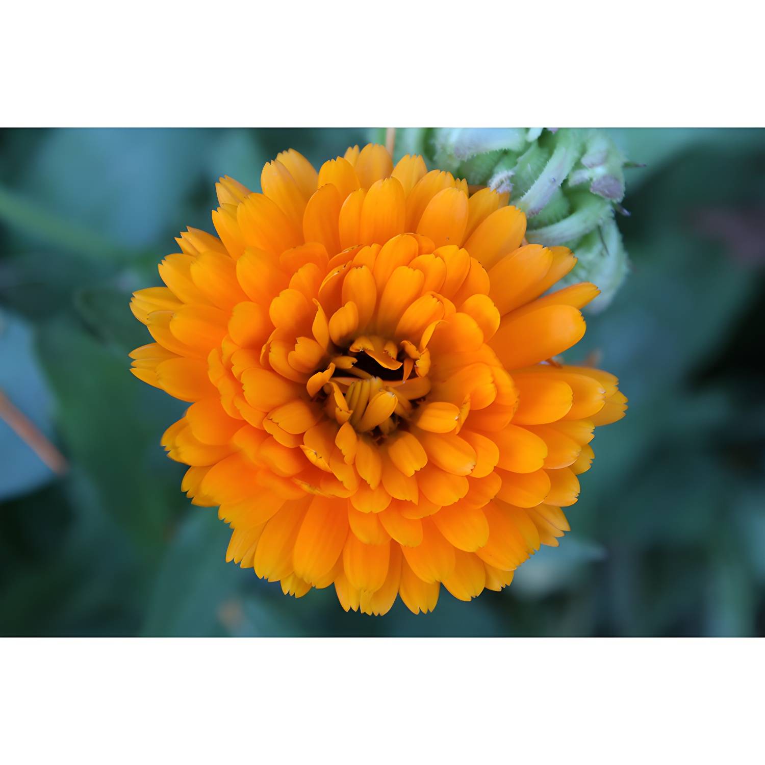 Imported image 9e9c6354e015 3539121.jpg