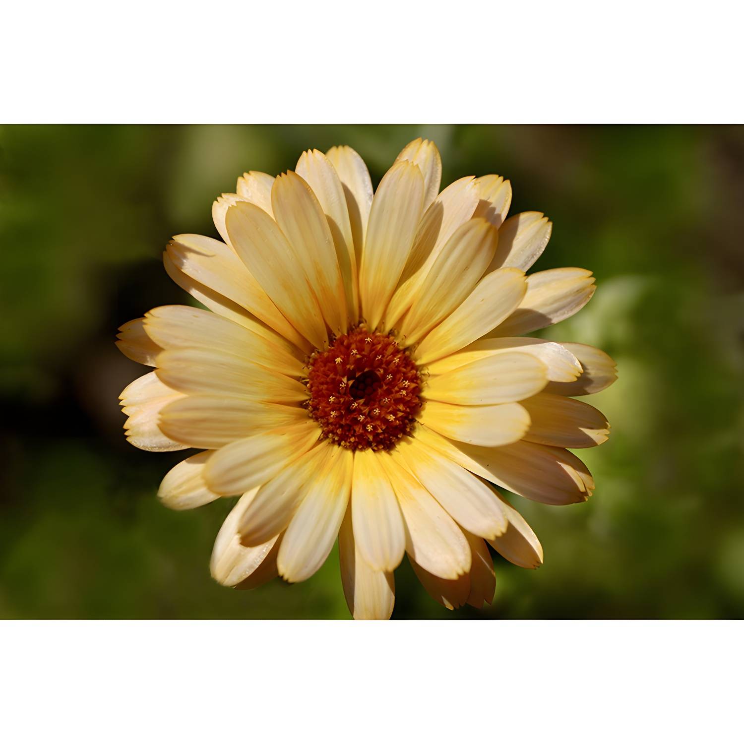 Imported image d4fcc7ca0939 3539127.jpg