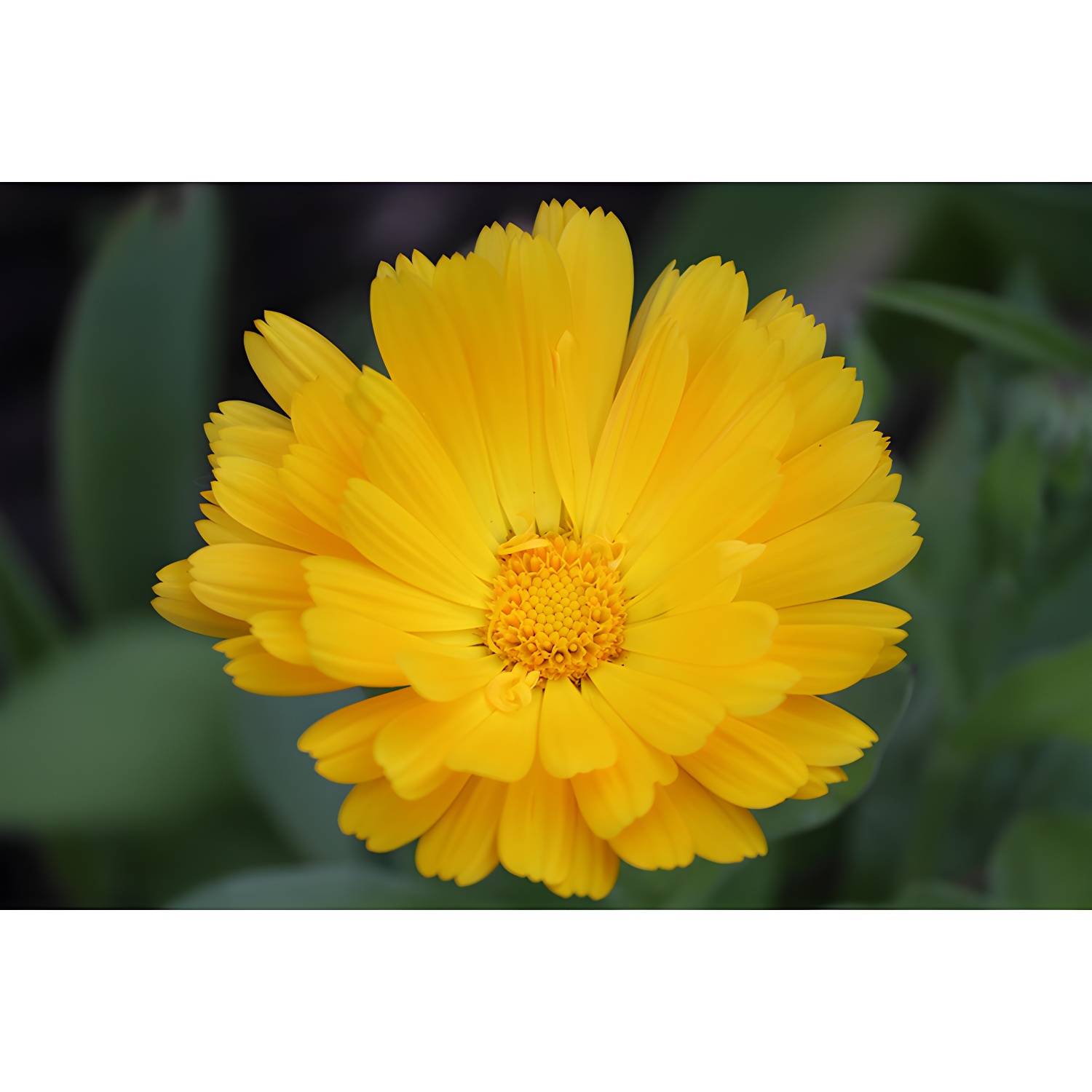 Imported image 5e73e58a9d97 3539131.jpg