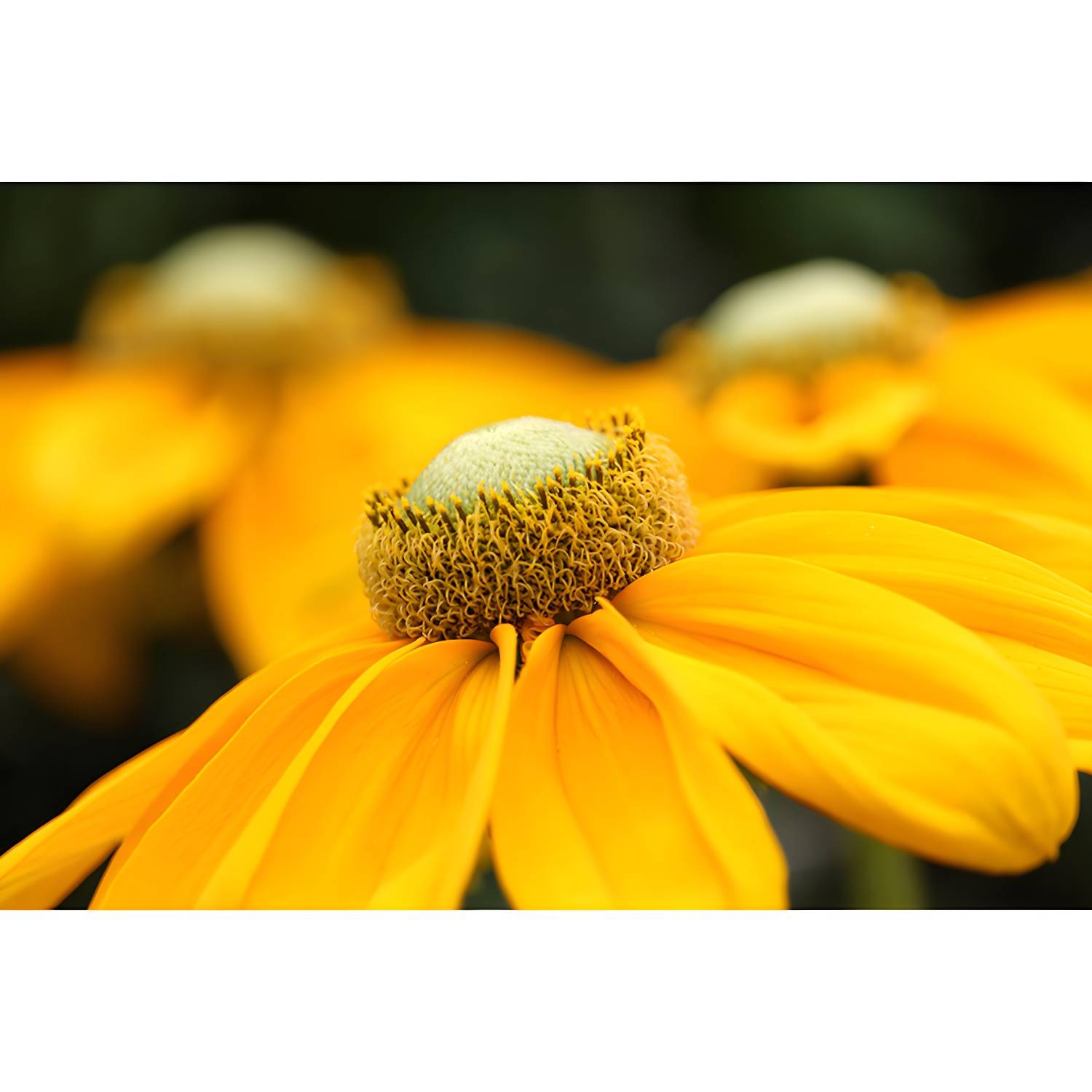 Imported image 415fed99e330 3539157.jpg