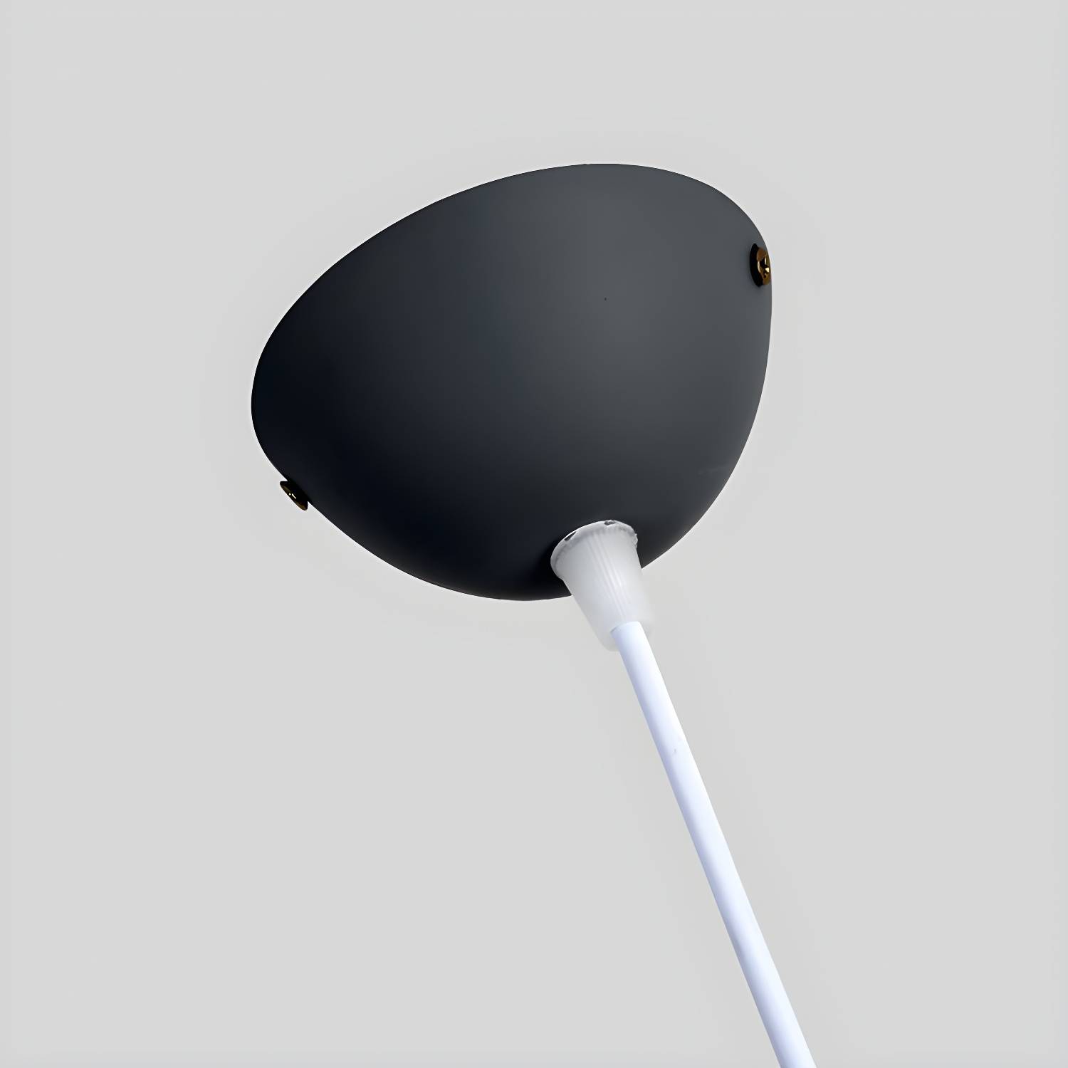 Imported image be9a1a84ad93 3554139.jpg