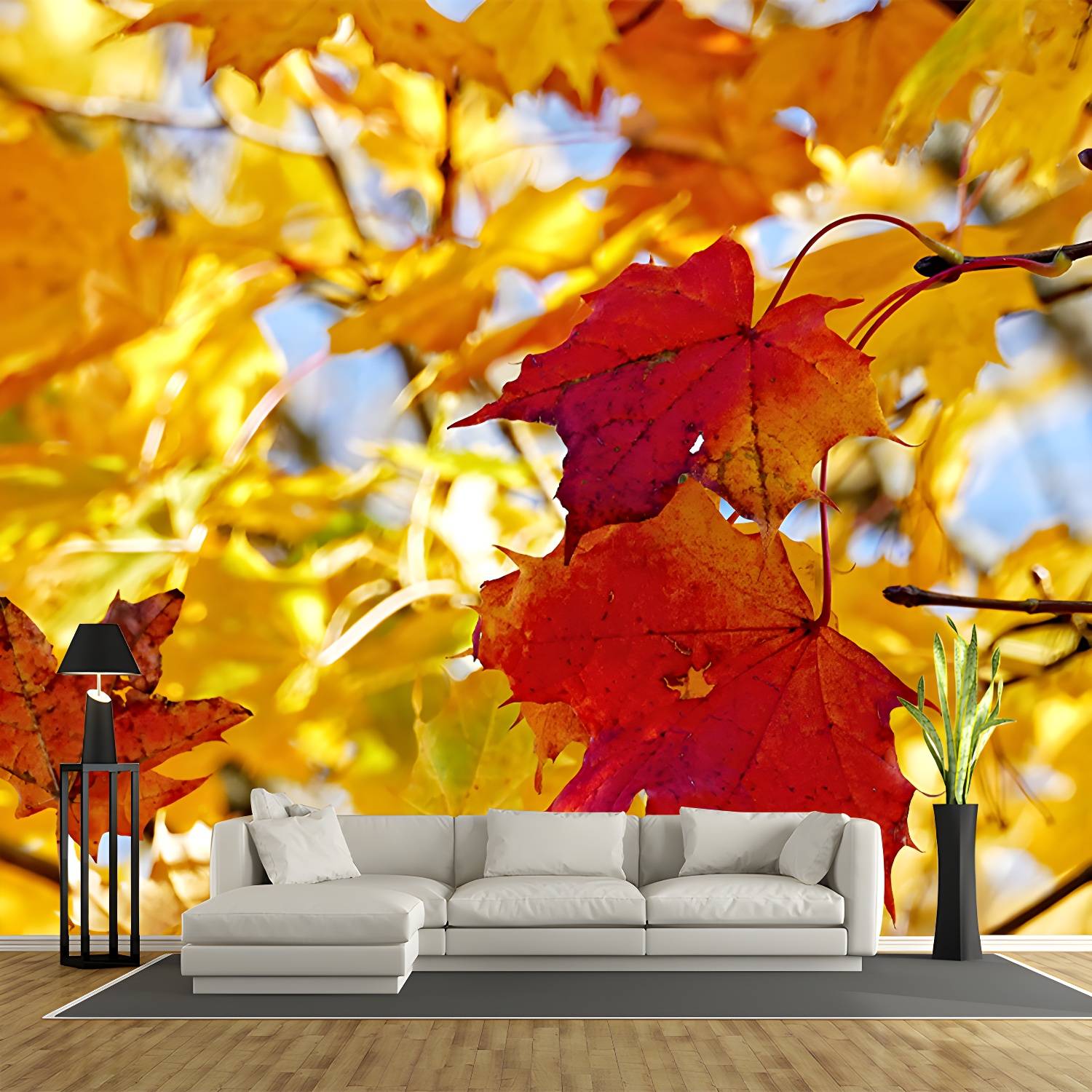 Imported image 5a29b29bde7d 3558077.jpg