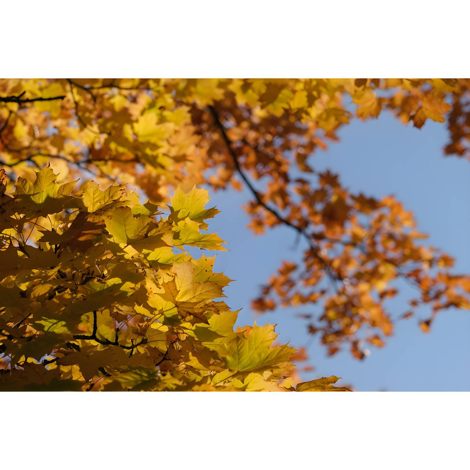 Imported image a8e7f9799cc3 3558084.jpg