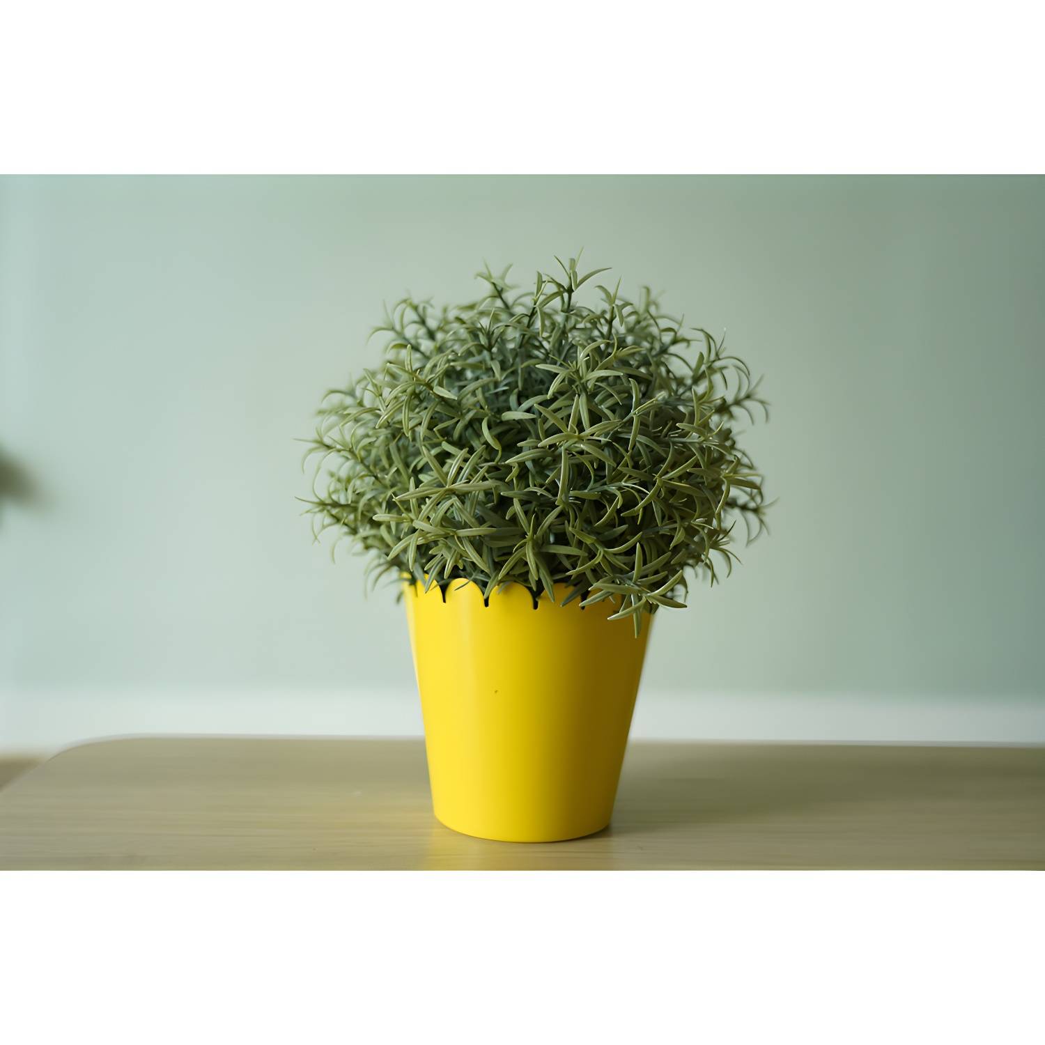 Imported image 600c105f54b9 3558250.jpg