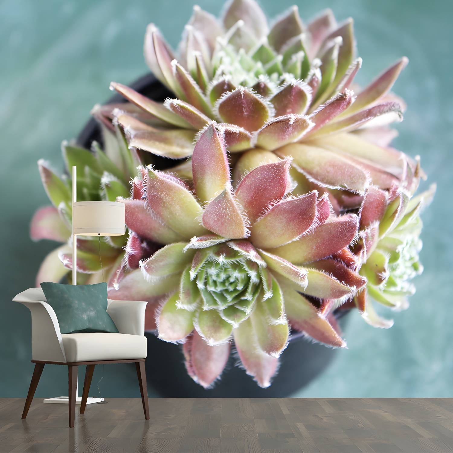 Imported image af2fda23ec9c 3559098.jpg