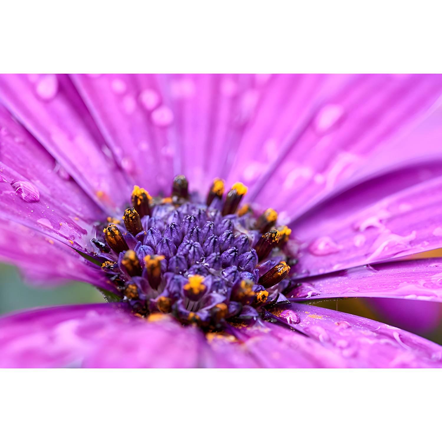 Imported image e01277a4b7a1 3561789.jpg