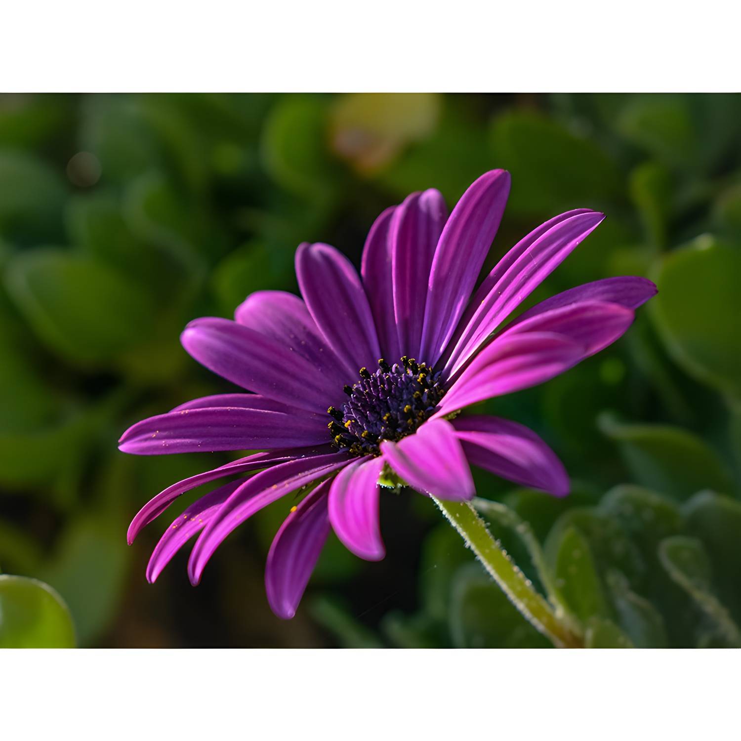 Imported image a0eb466b459c 3561795.jpg
