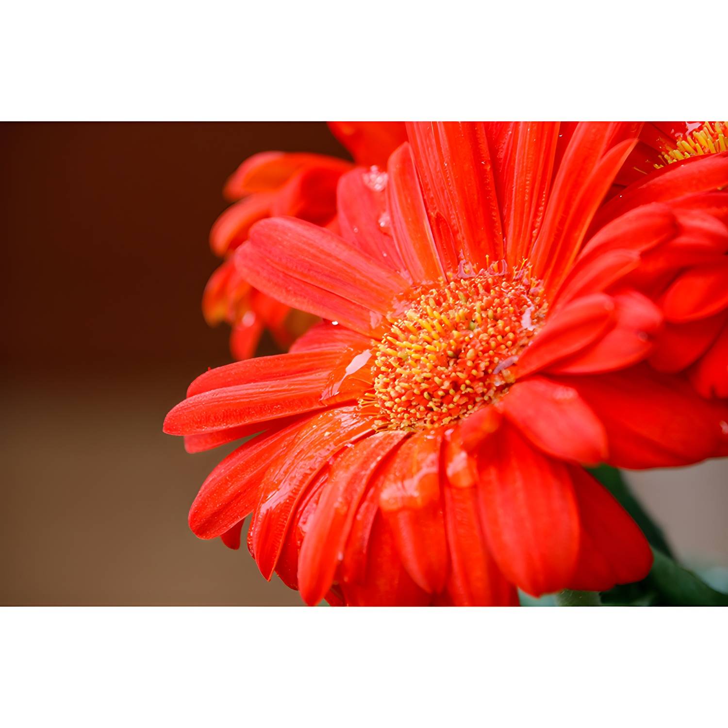 Imported image f6b103ccc459 3561799.jpg