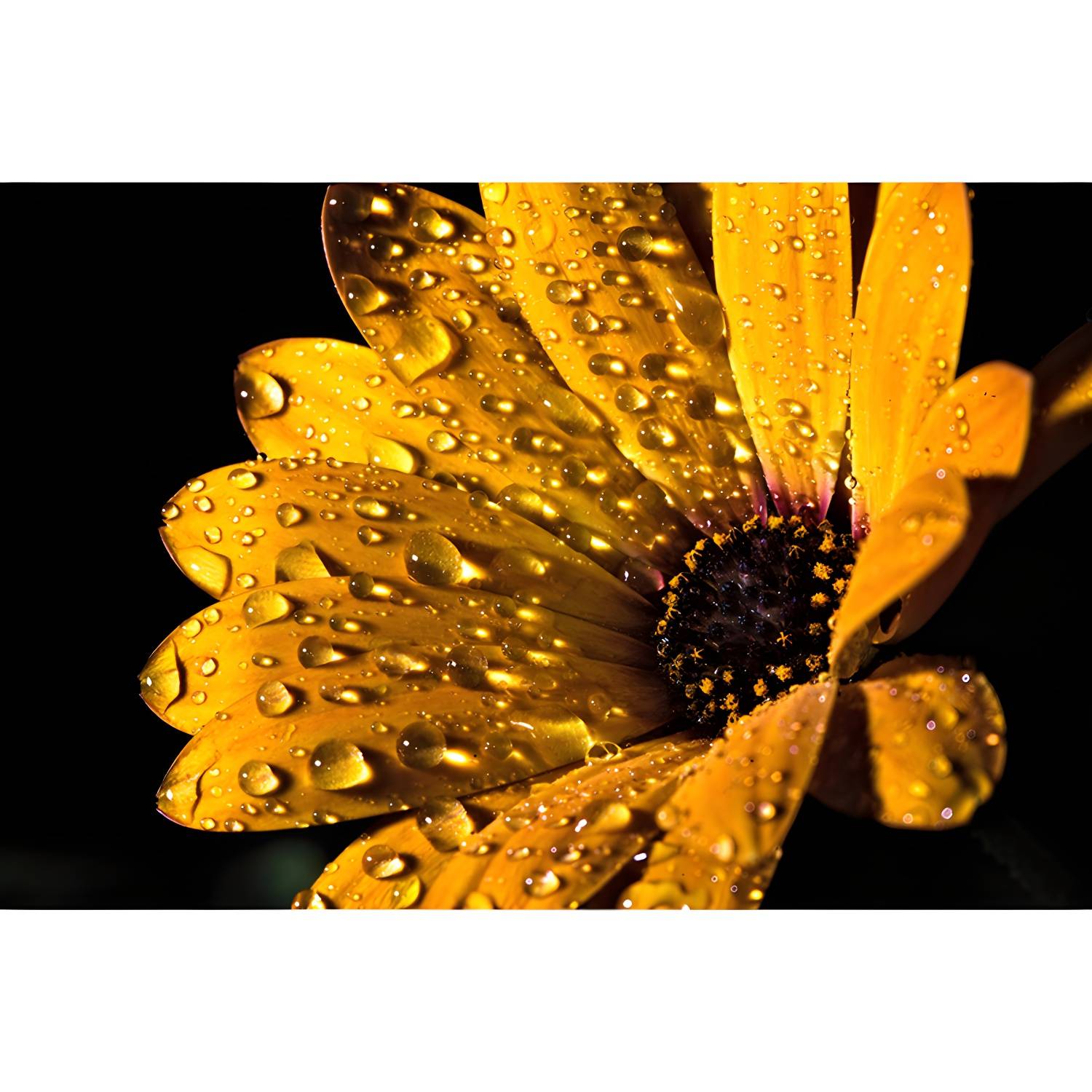 Imported image 966f4da992e3 3561803.jpg