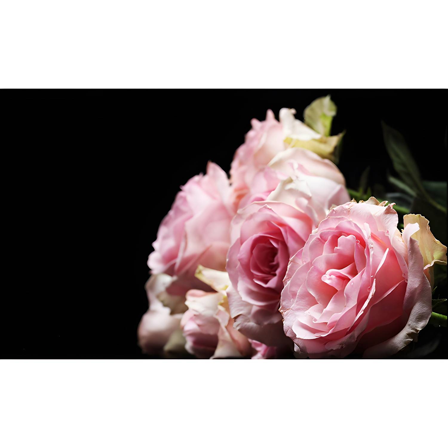 Imported image 9a65aac117fa 3561885.jpg