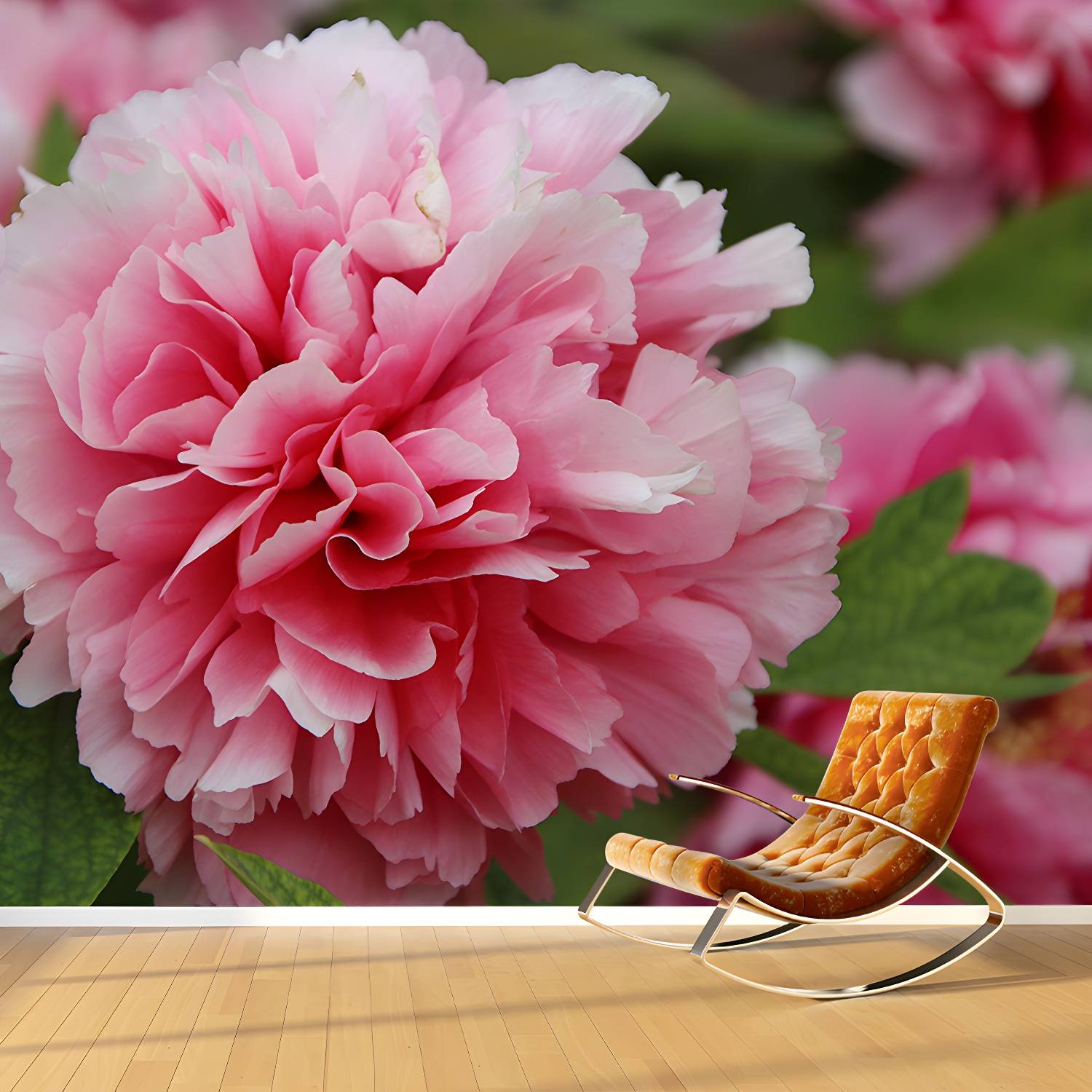 Imported image 5ea6a2a5cc42 3561895.jpg