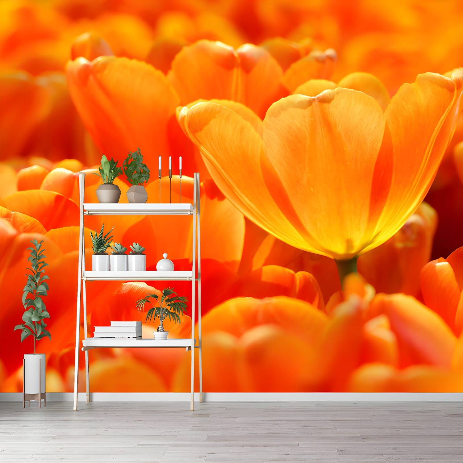 Imported image d1ef40e67b5e 3561922.jpg