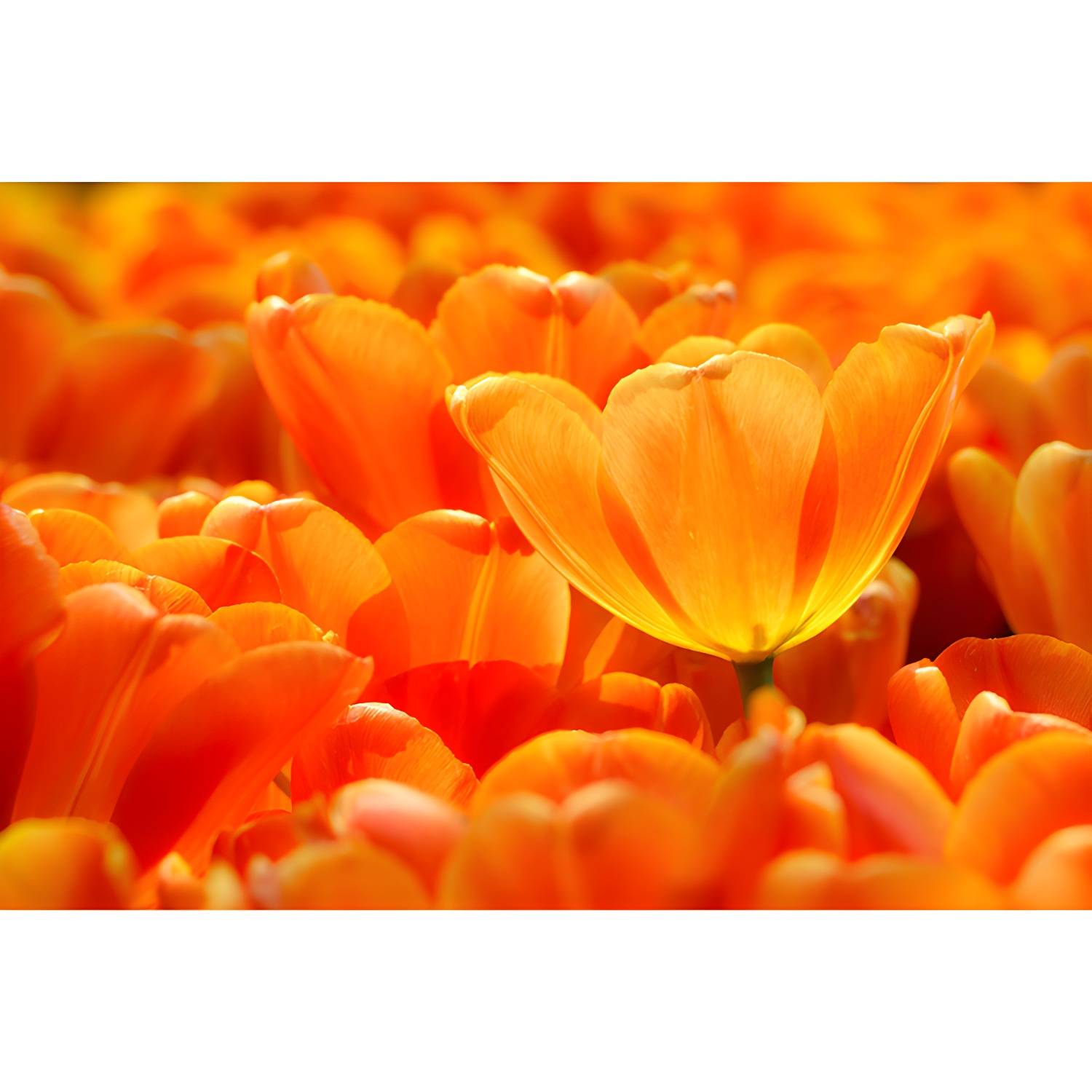 Imported image 9b90e5cc545c 3561925.jpg