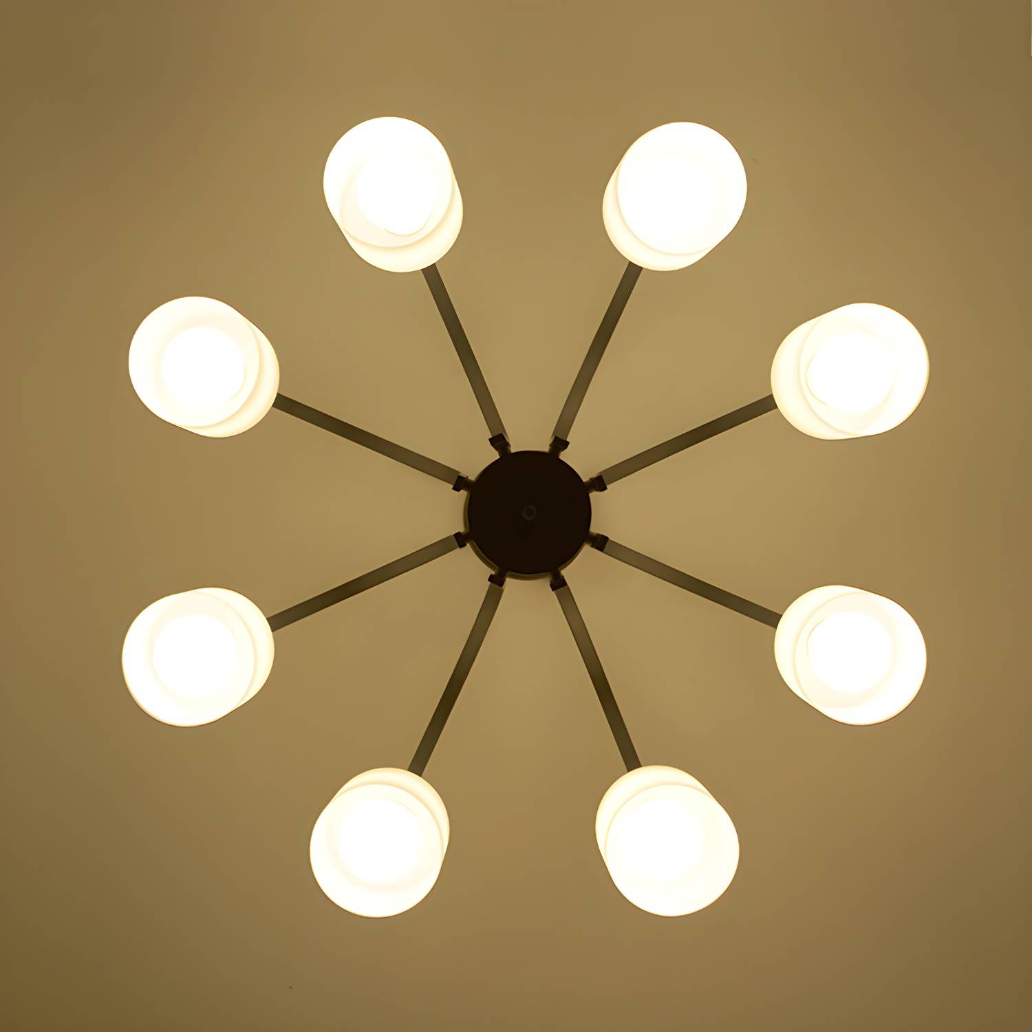Imported image 74314f8e31ca 3566467.jpg