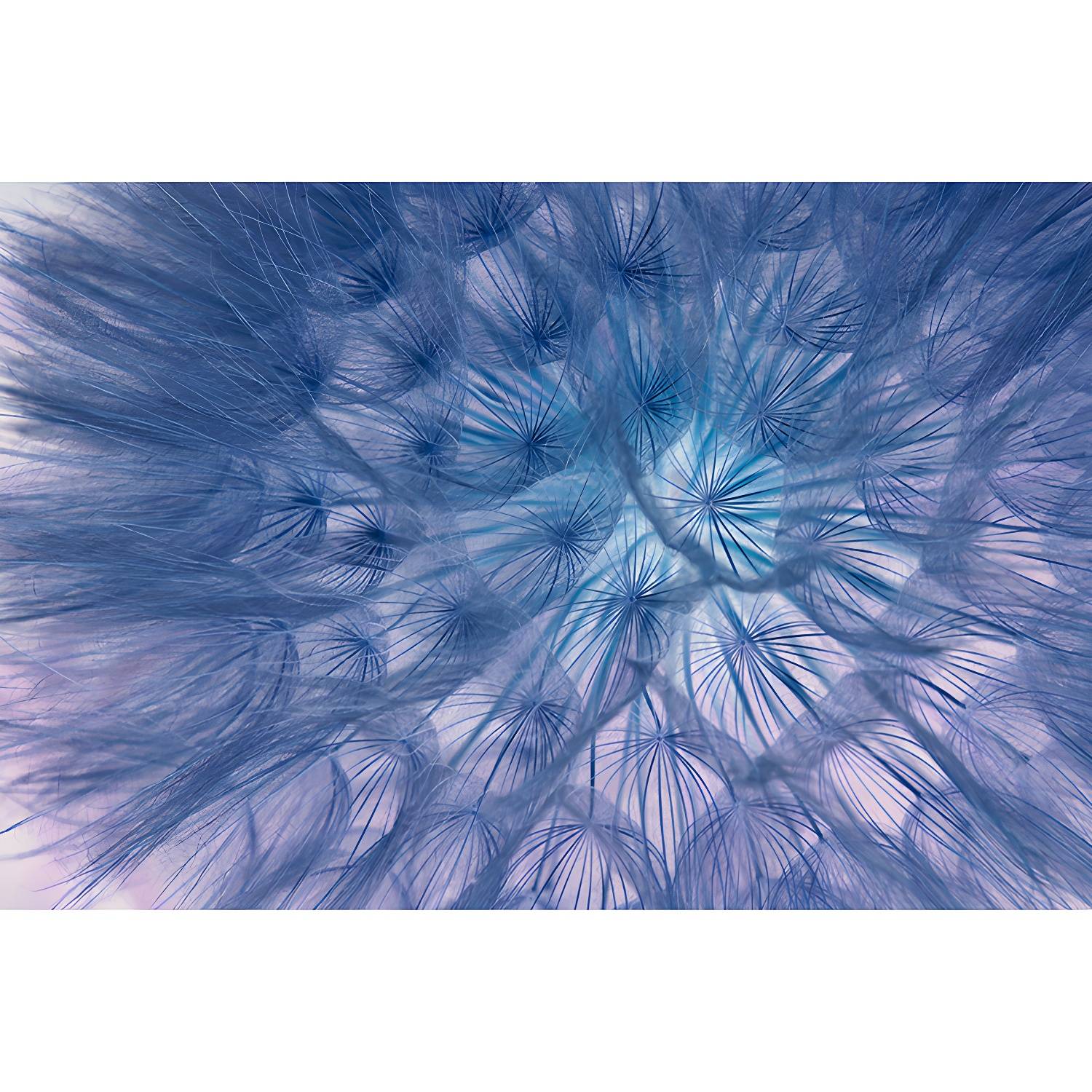 Imported image a87e3f7ba692 3571140.jpg