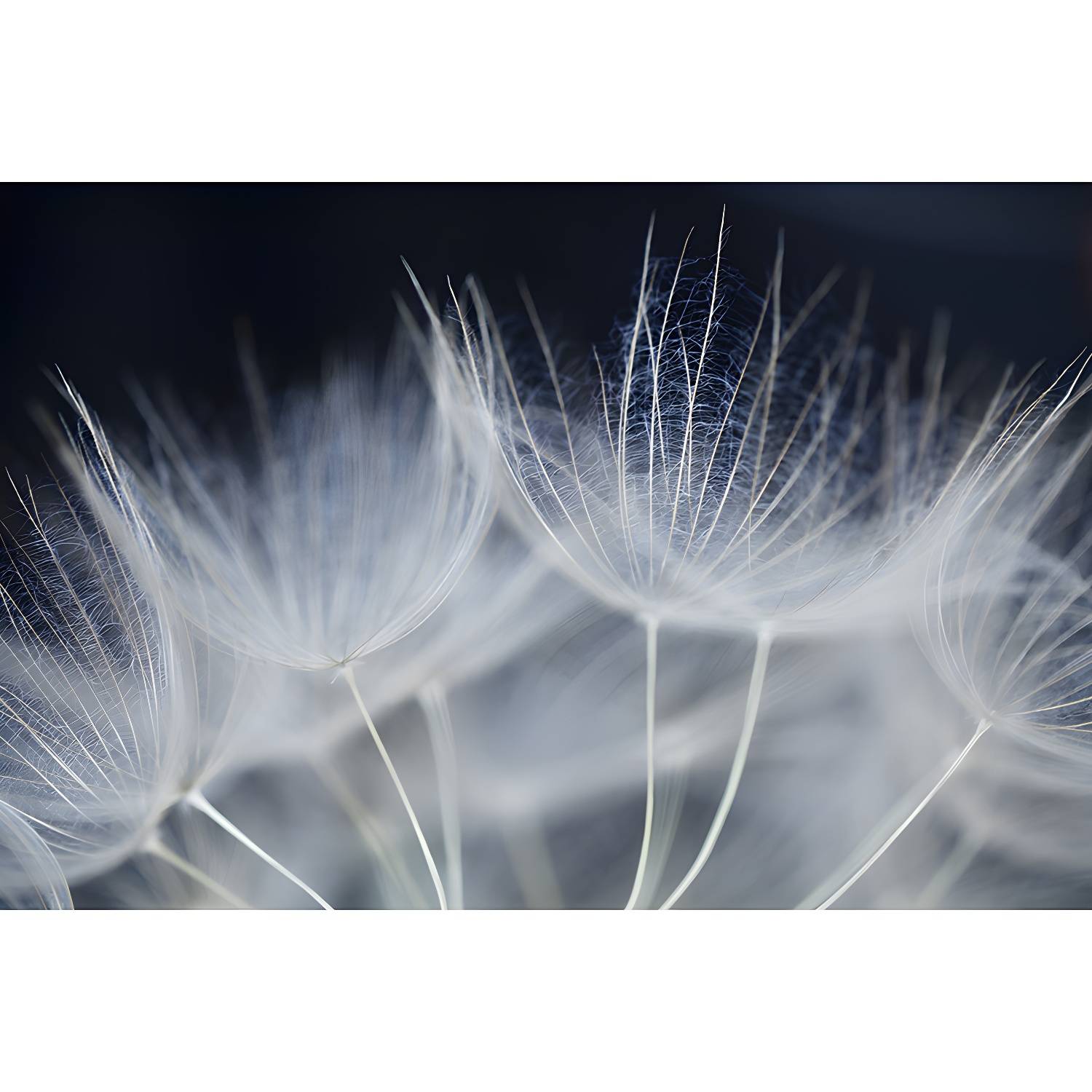 Imported image 6d6ec893e4e8 3571144.jpg