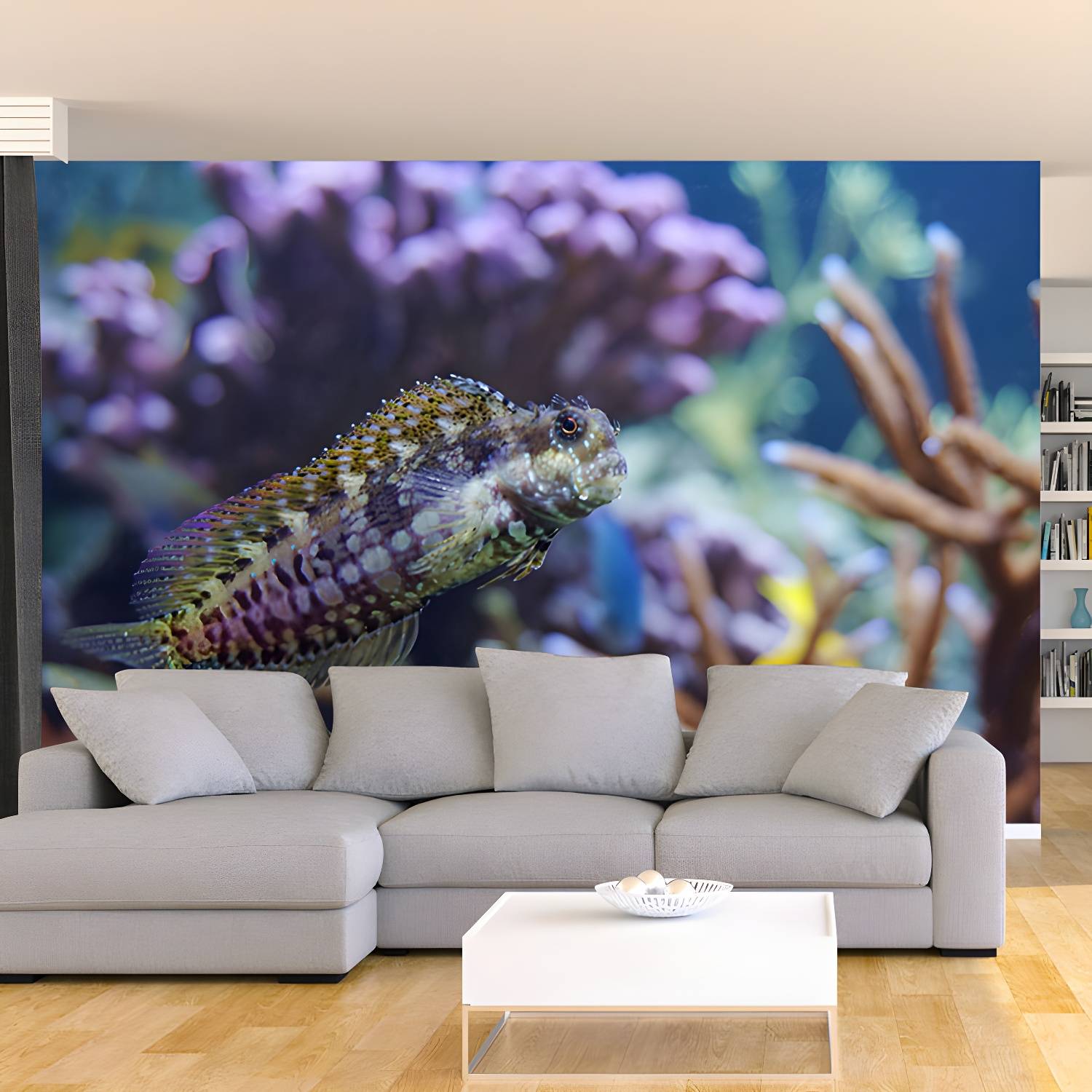 Imported image 9260169d4881 3571183.jpg