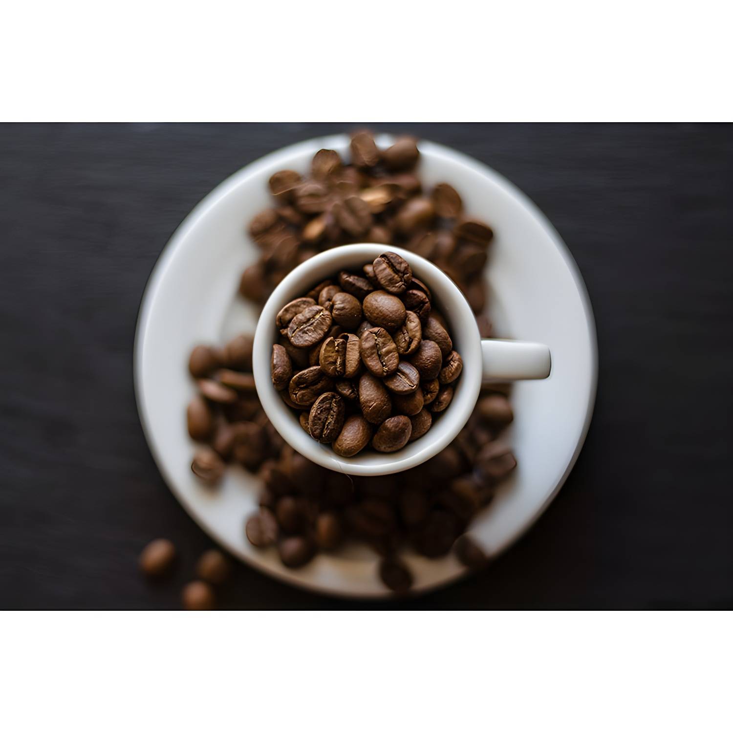 Imported image c89e2594da4a 3571208.jpg