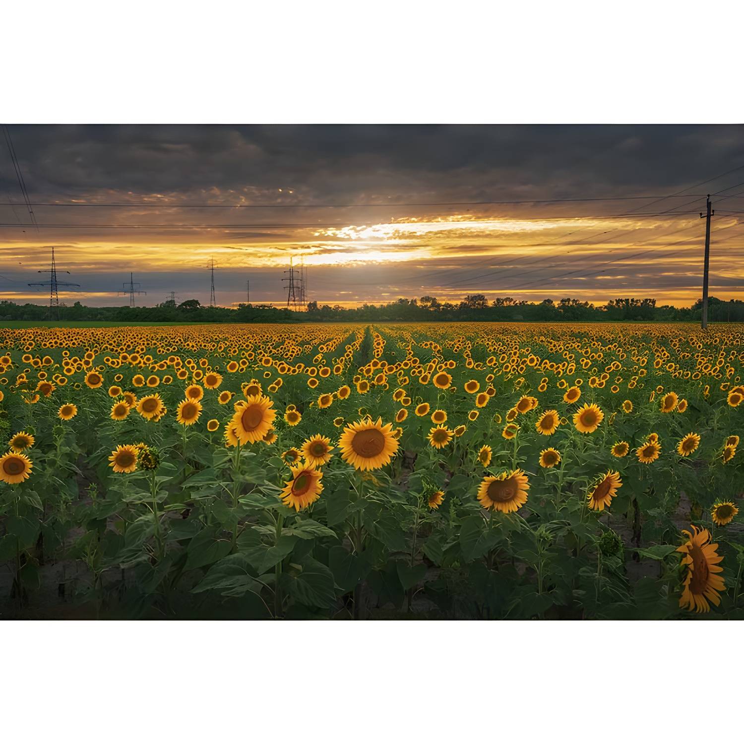 Imported image 6fa227e89092 3571360.jpg