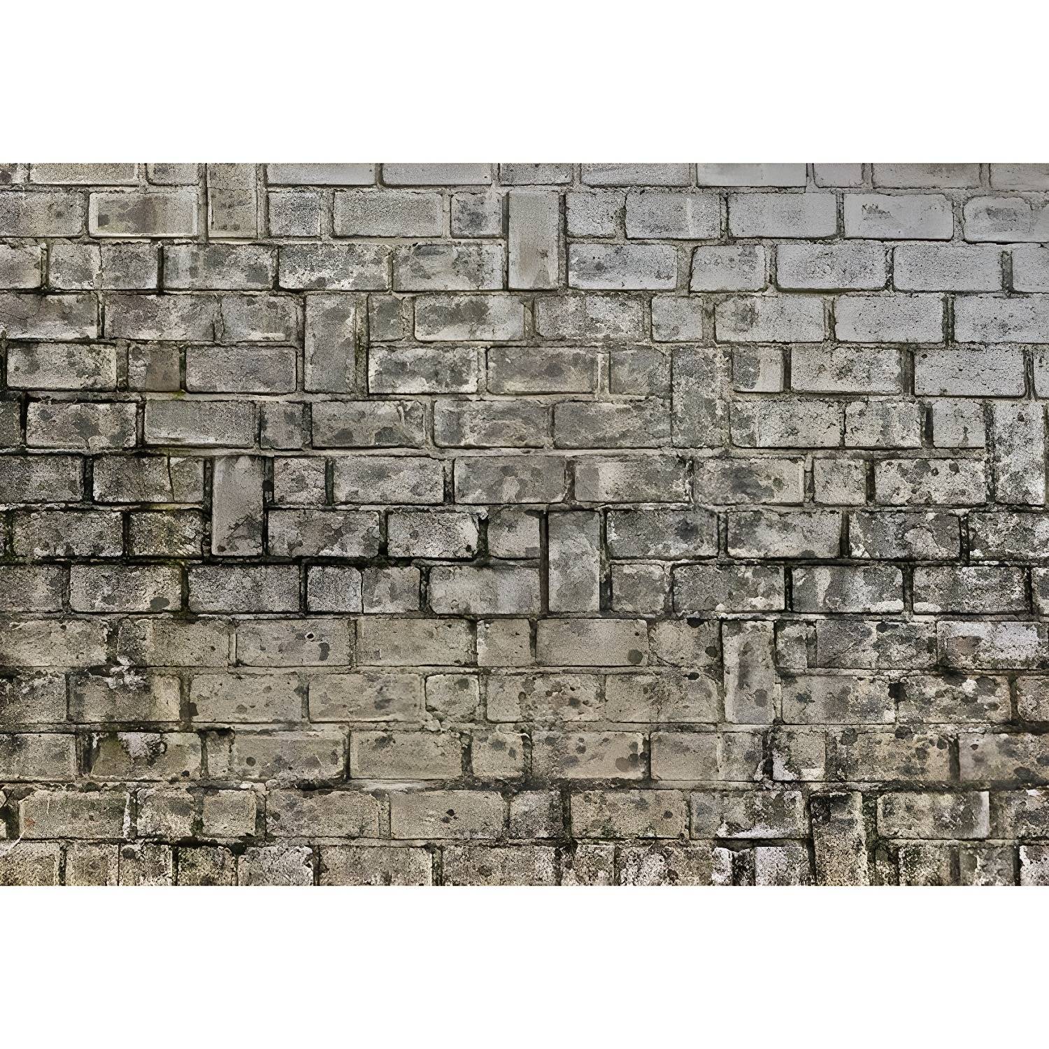 Imported image bea14d59aba2 3571580.jpg