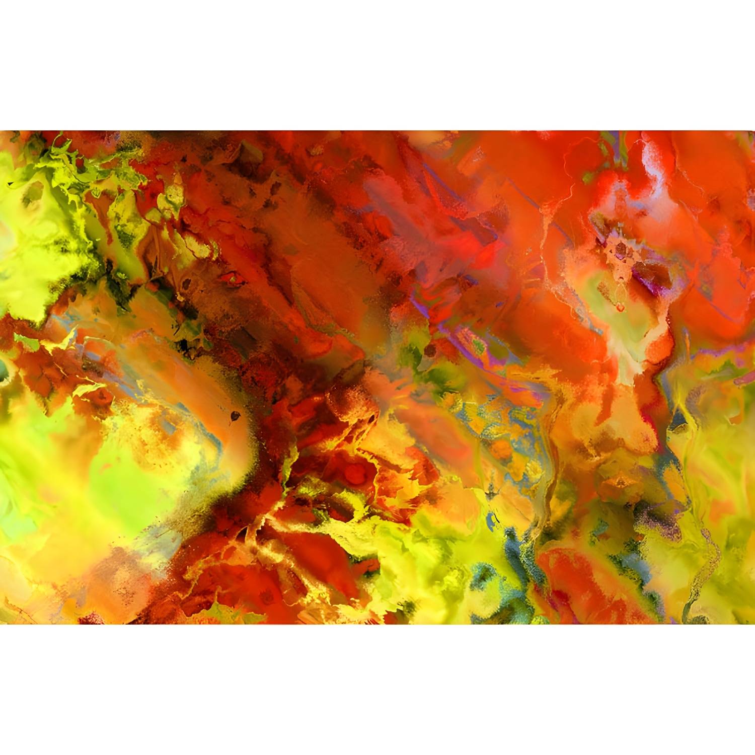 Imported image 6bce6ec6449a 3571670.jpg
