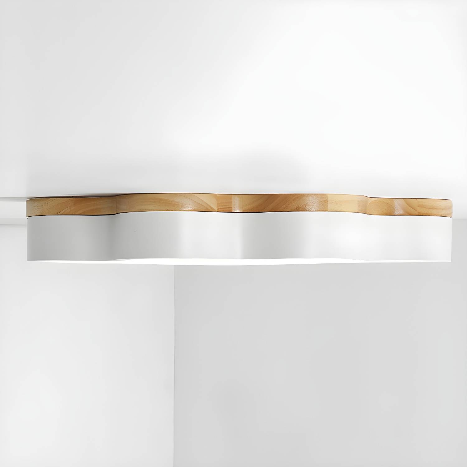 Imported image b3ab3d95de56 3572464.jpg